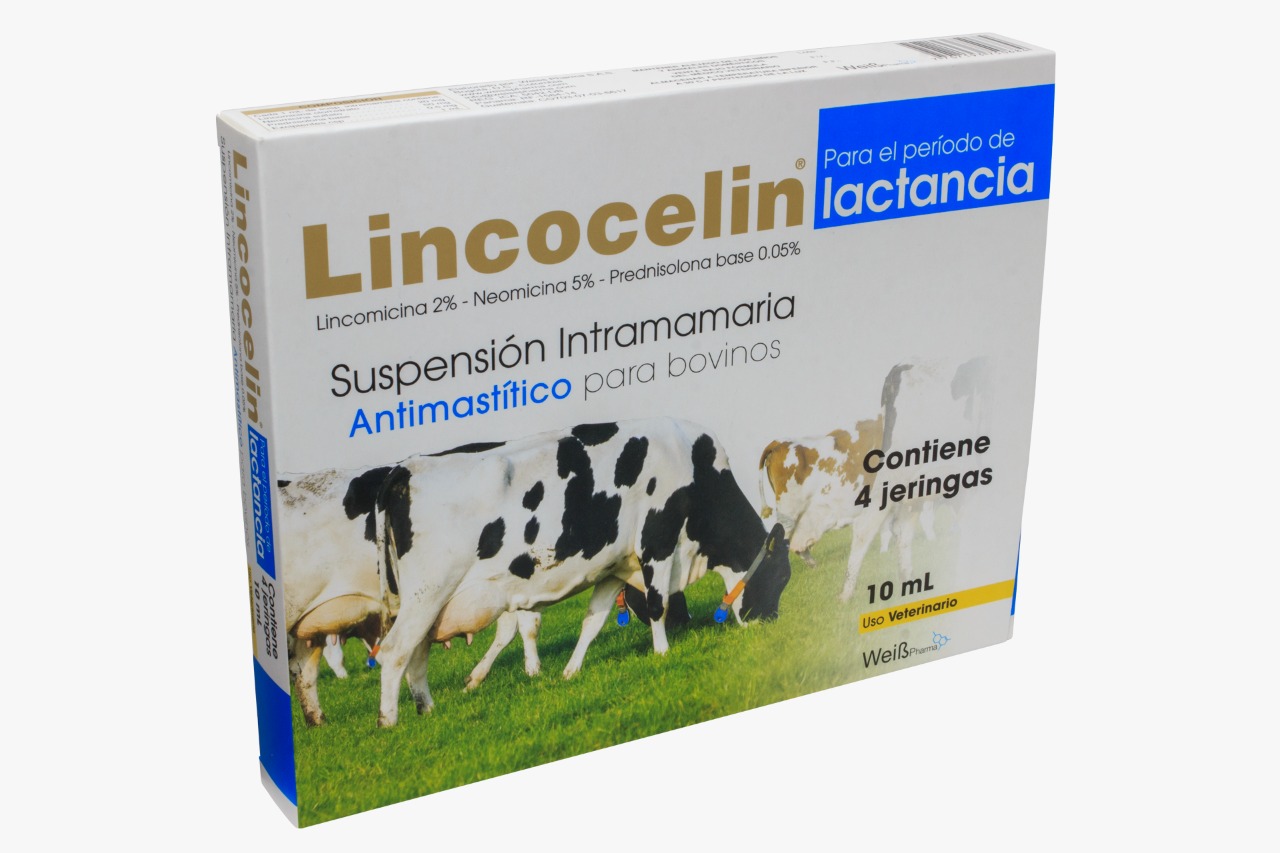 Lincocelin Lactación
